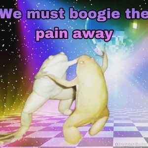 Meet your Posher, Percy